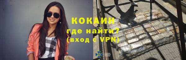 индика Белокуриха
