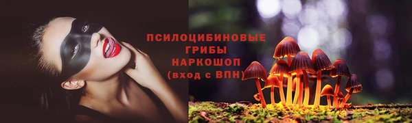 мдпв Беломорск