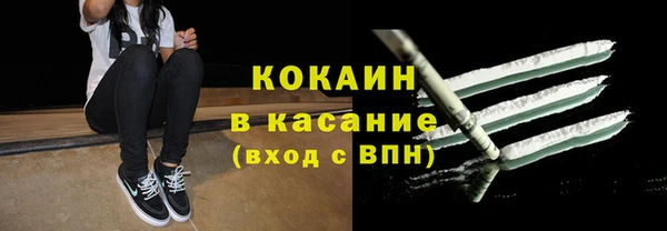 индика Белокуриха