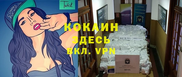 индика Белокуриха
