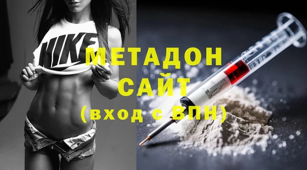 индика Белокуриха