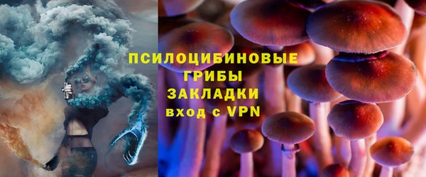 мдпв Беломорск